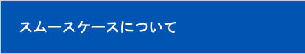 X[XP[Xɂ